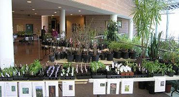 Annual Plant Sale Annual Plant Sale