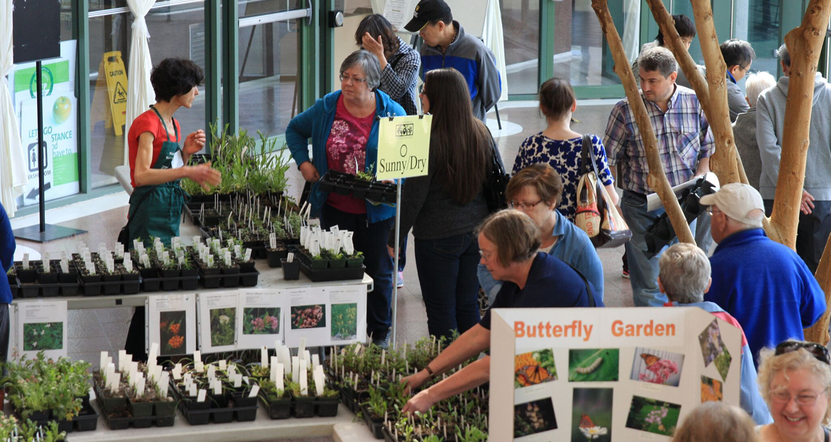Plant Sale